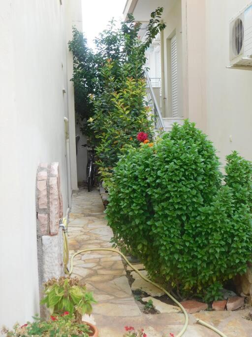 Studio Epicuros Nafplio Exteriér fotografie