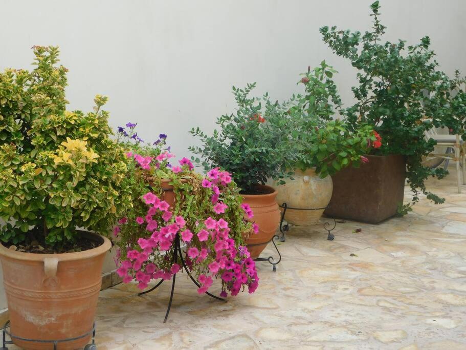 Studio Epicuros Nafplio Exteriér fotografie